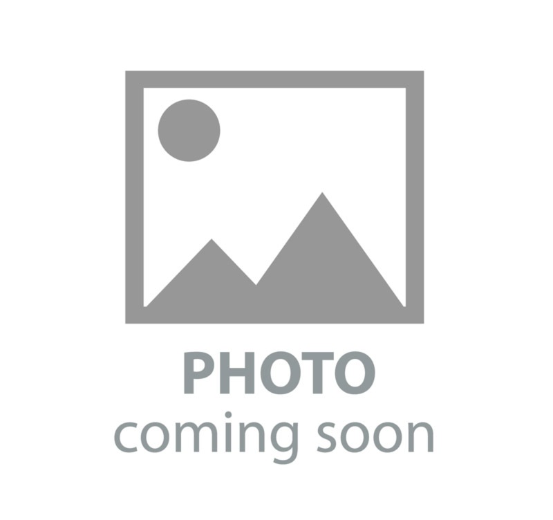 Geetery 2 Pcs Swan Decoy Pond Floating Decoration Plastic Lifelike