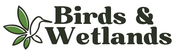 Birds and Wetlands