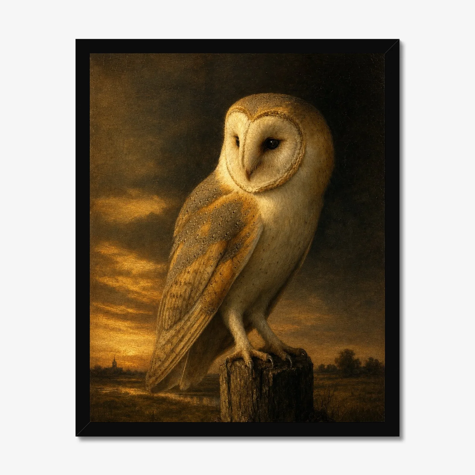 Barn Owl in a black frame