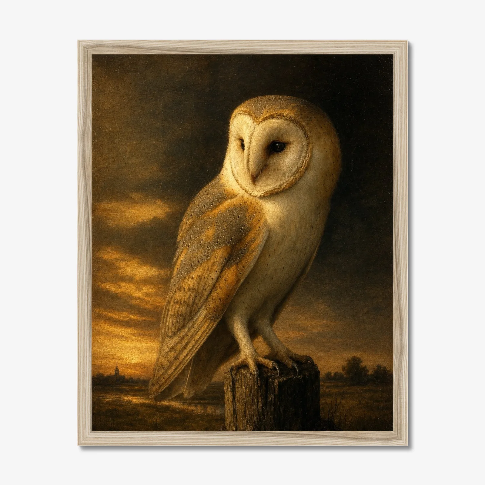 Barn Owl in a oak frame