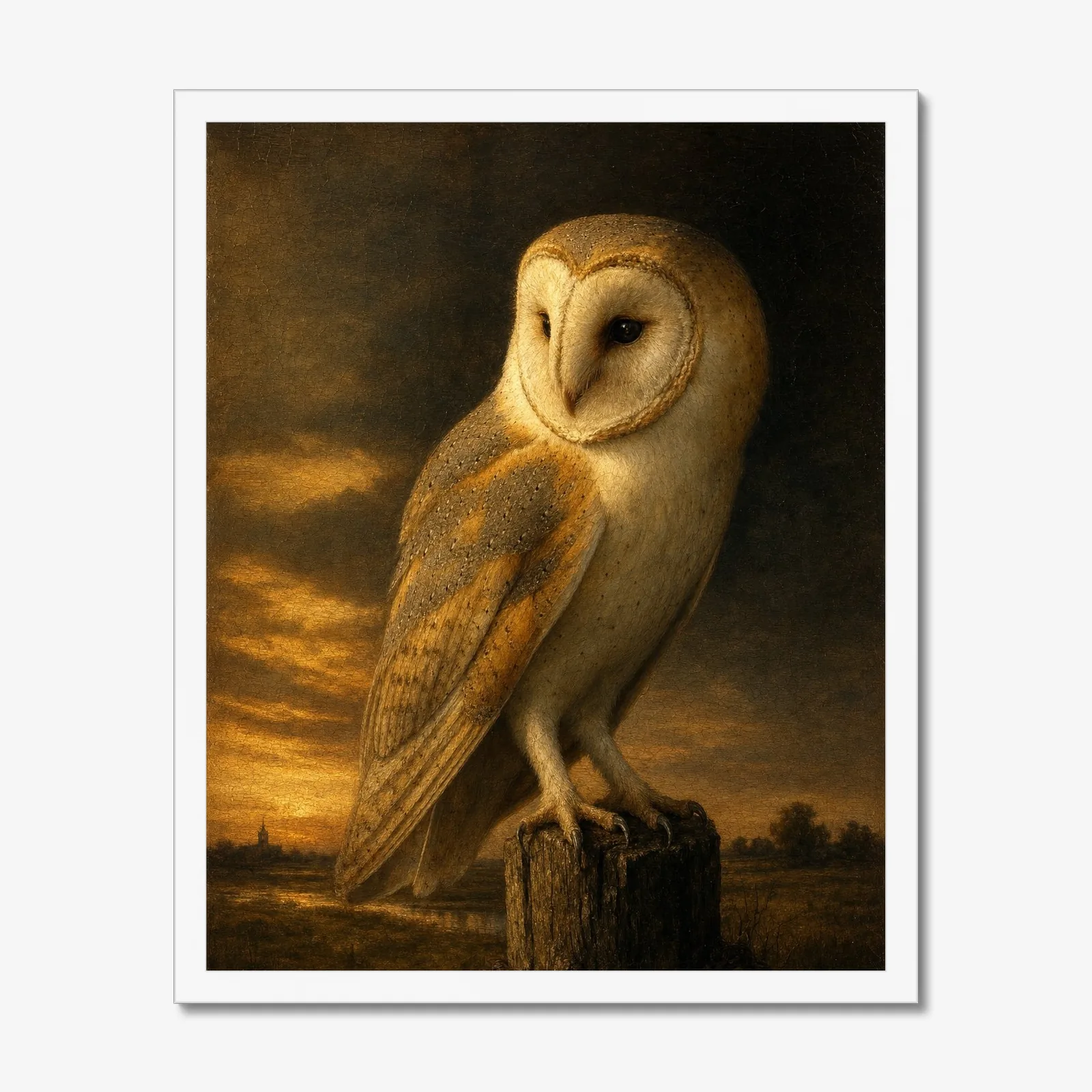 Barn Owl in a white frame