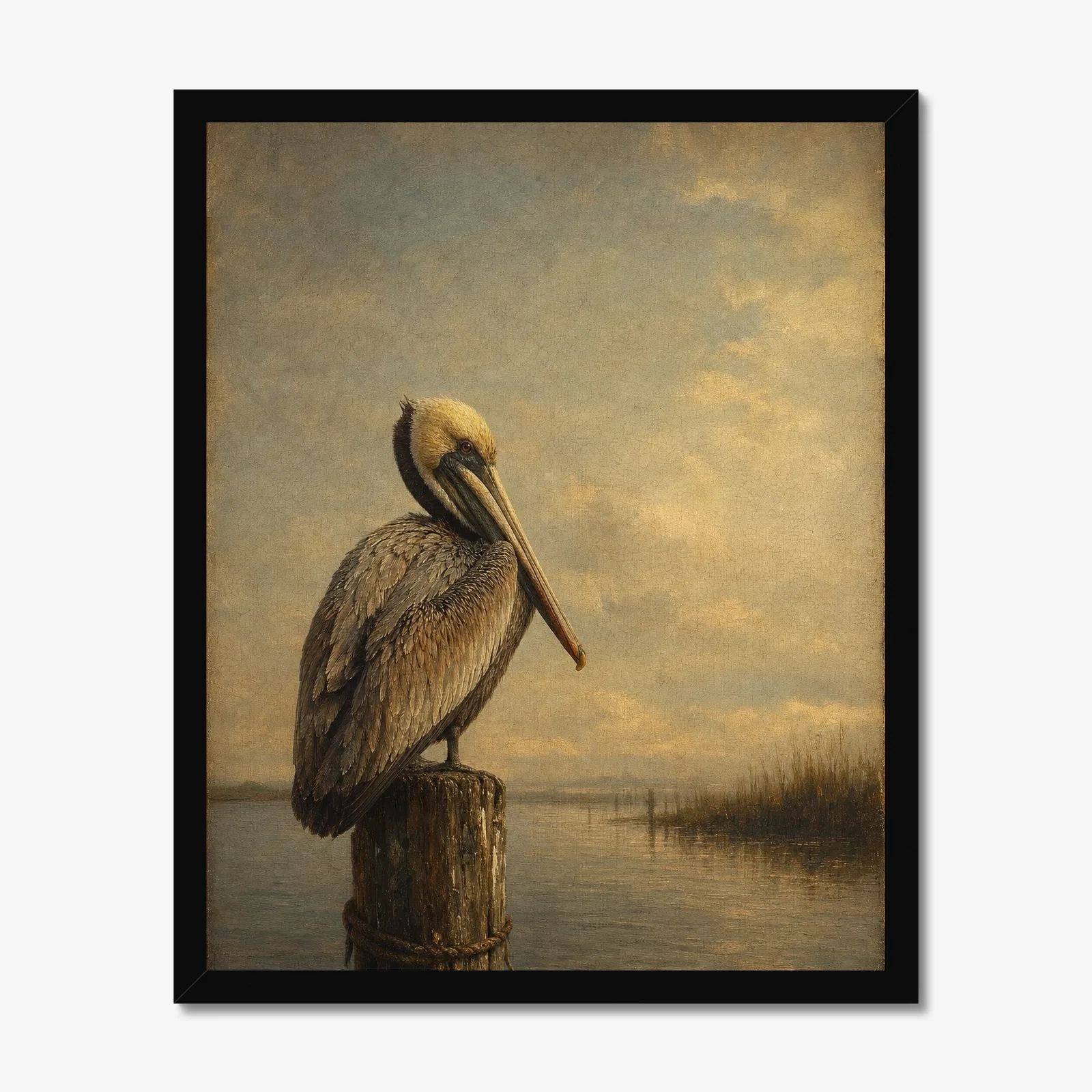 Brown Pelican in a black frame