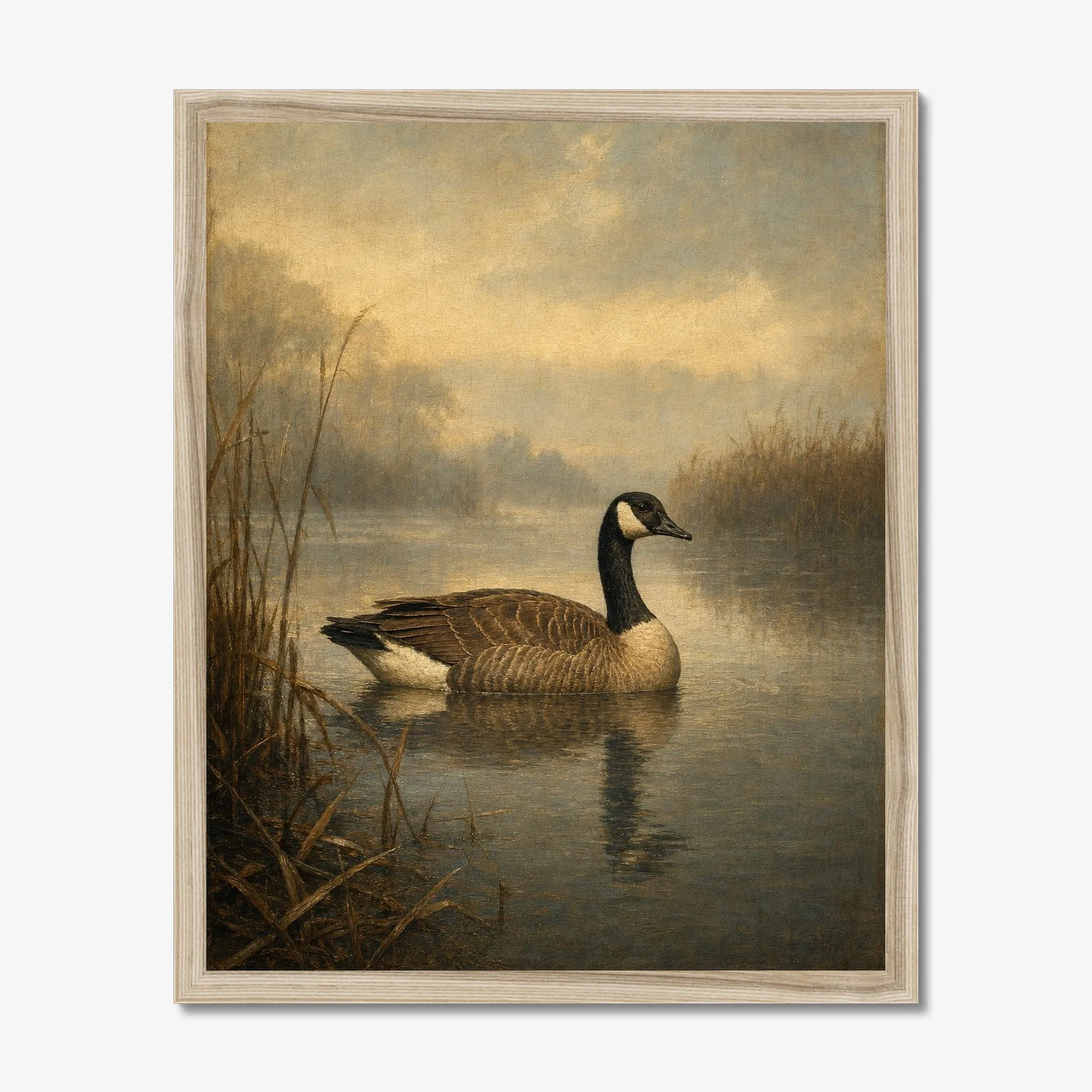 Canada Goose in a oak frame