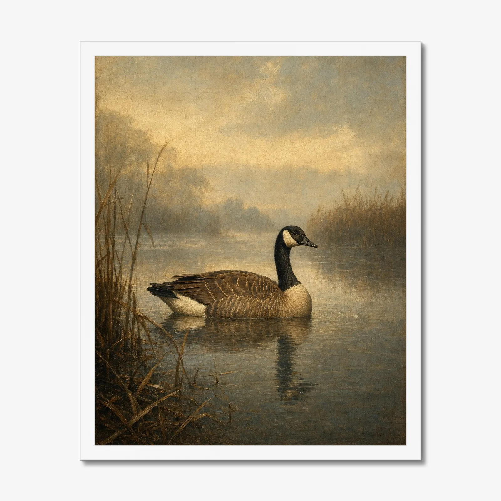 Canada Goose in a white frame