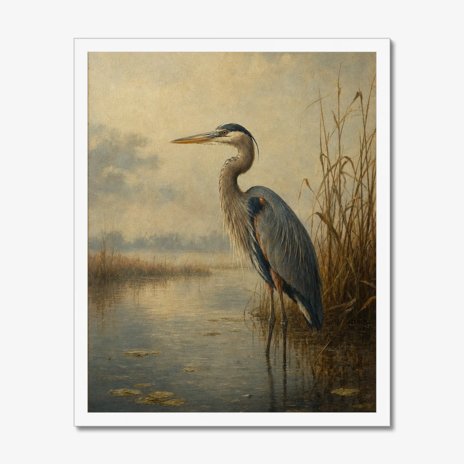 Great Blue Heron in a white frame
