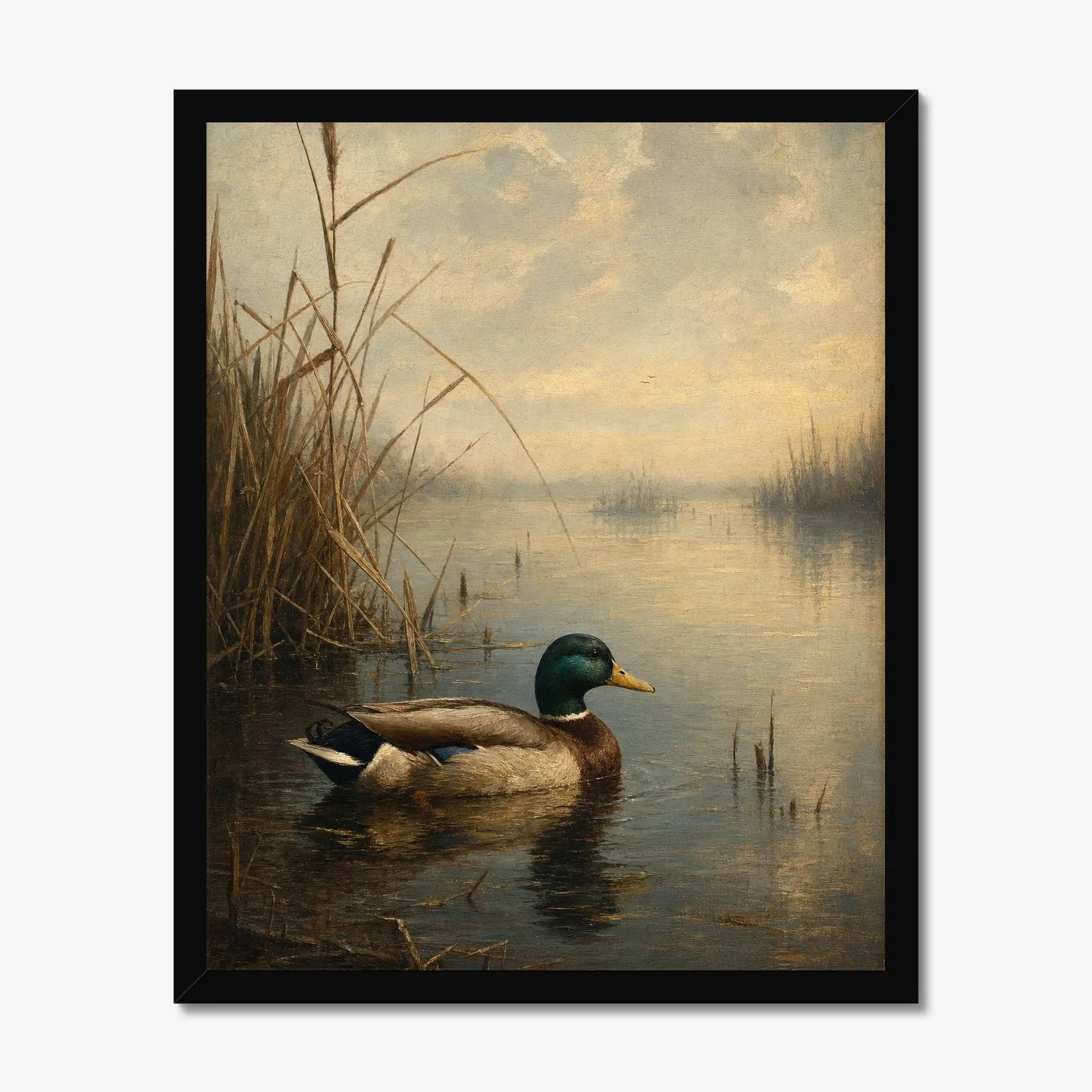 Mallard Drake in a black frame