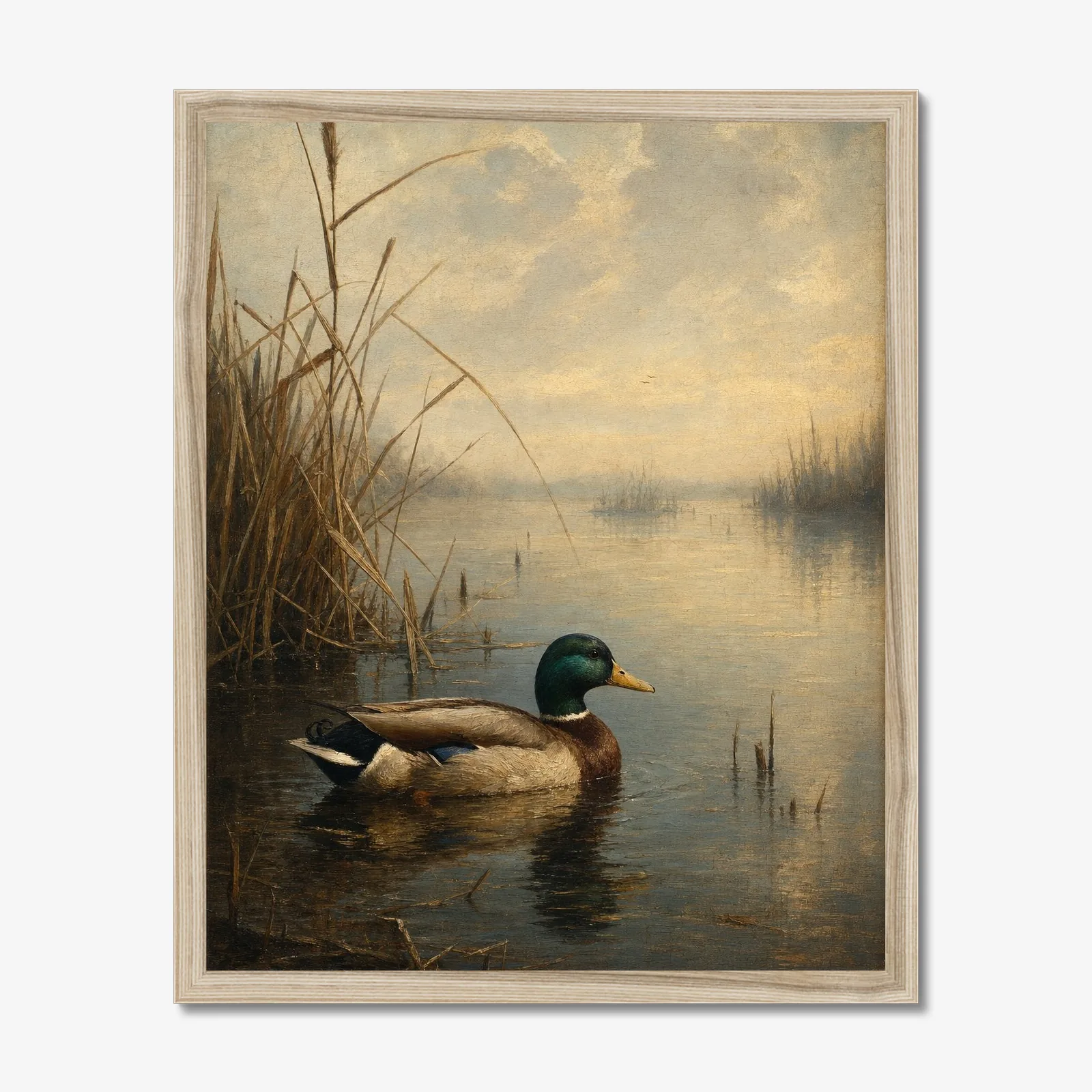 Mallard Drake in a oak frame