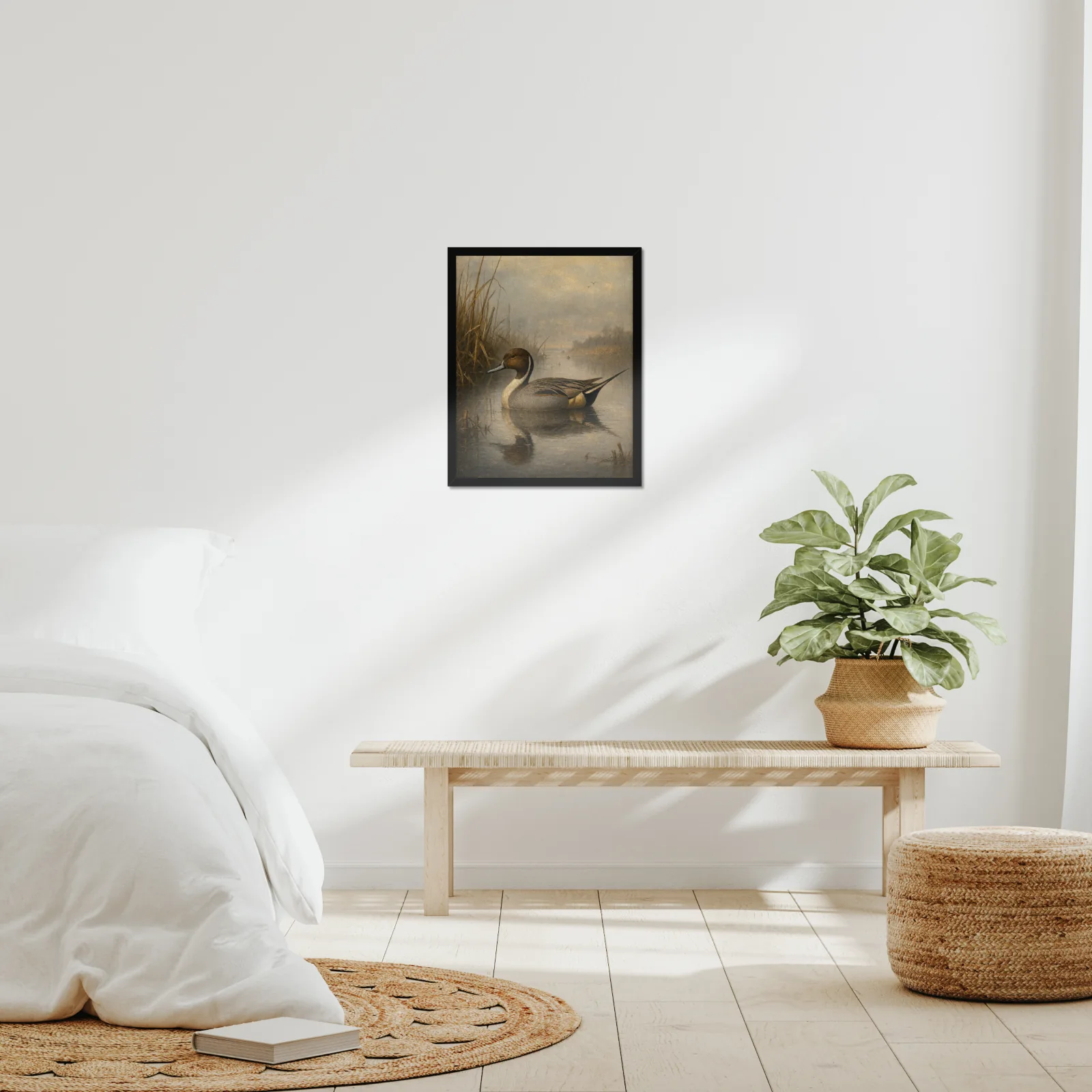 Northern Pintail Drake framed at 16x20 inches, shown on a wall to scale