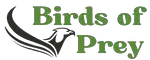 42 Birds of Prey in US (Photo Guide)