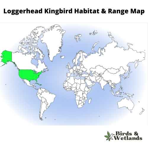 San Joaquin Wildlife Sanctuary