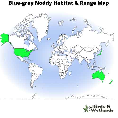 4 Blue Birds in Hawaii (+Free Photo Guide)