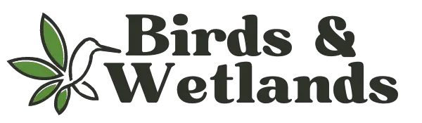 birds and wetlands