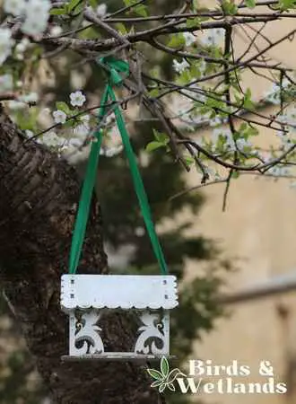 hanging bird feeder from tree branches