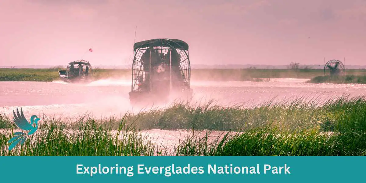 Exploring Everglades National Park