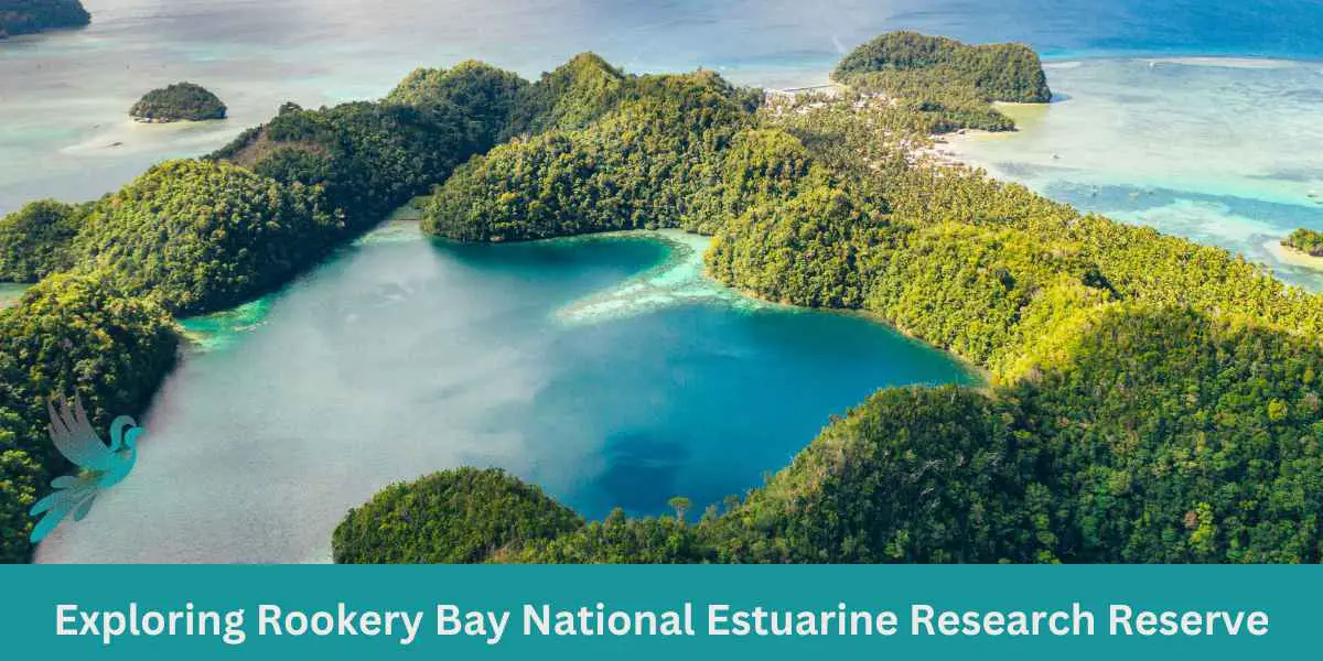 Exploring Rookery Bay National Estuarine Research Reserve