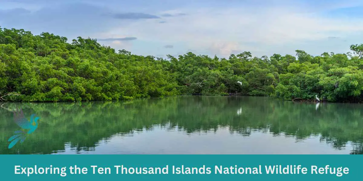 Exploring the Ten Thousand Islands National Wildlife Refuge