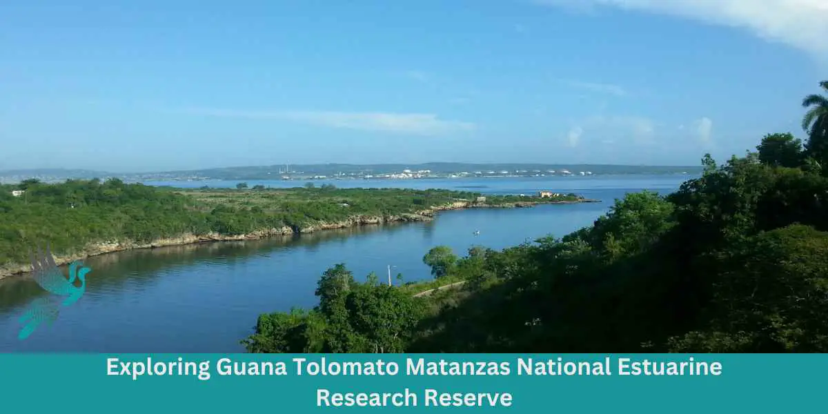 Exploring Guana Tolomato Matanzas National Estuarine Research Reserve