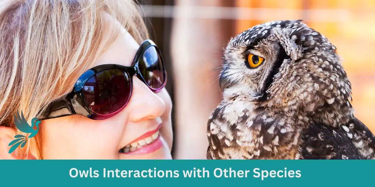 Owls Interactions with Other Species