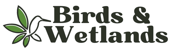 birds and wetlands