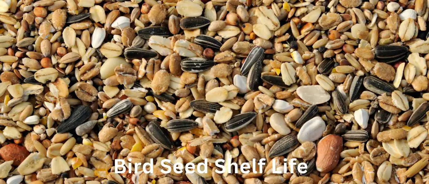 Bird Seed Shelf Life