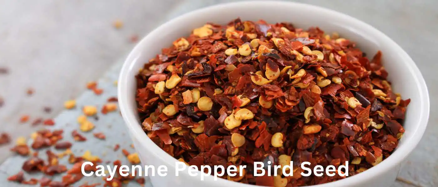 Cayenne Pepper Bird Seed