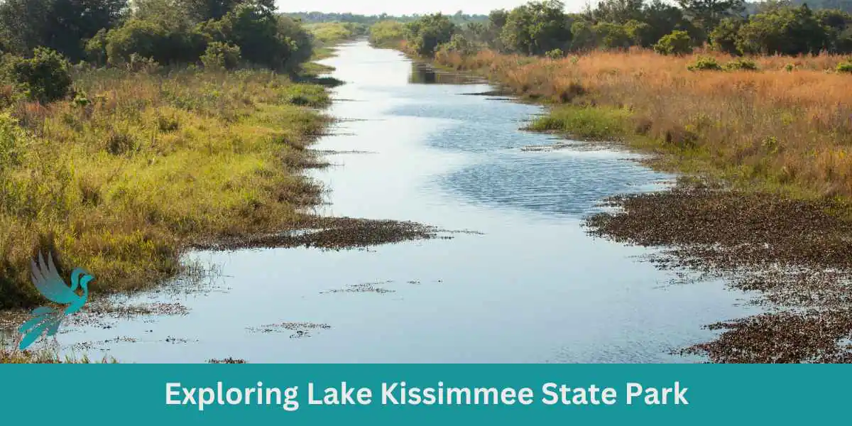 Exploring Lake Kissimmee State Park